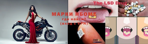 индика Алексин