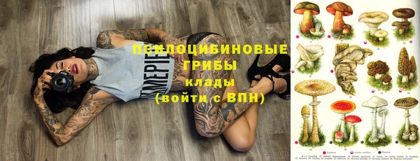 индика Алексин