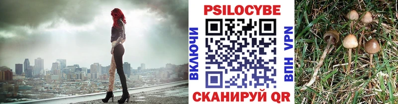 Галлюциногенные грибы прущие грибы Себеж